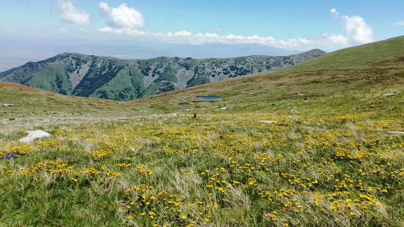 Hiking in Pelister National Park from Dihovo to Pelisters Eyes - Path ...